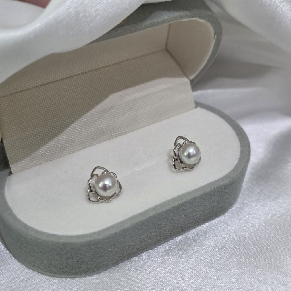 "Queen Bee" 6-6.5mm Premium Sea Pearl Earrings