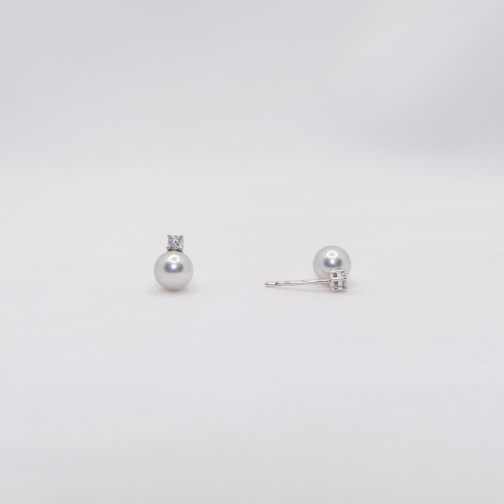 "Akoya Queen" Sea Pearl 6mm-6.5mm Earring