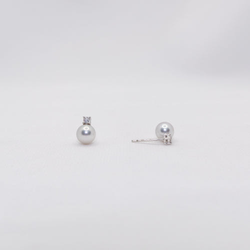 "Akoya Queen" Sea Pearl 6mm-6.5mm Earring