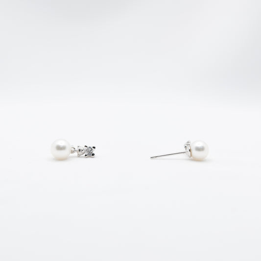 "Mini Teddy" 6A Premium Freshwater Pearl 6mm - 6.5mm Earring